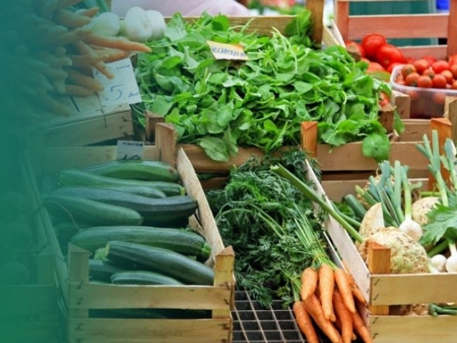 Navigating the Health Department: Your Partner or Pitfall?